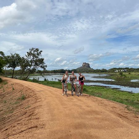 Sigiri Shen Residence Sigiriya Buitenkant foto