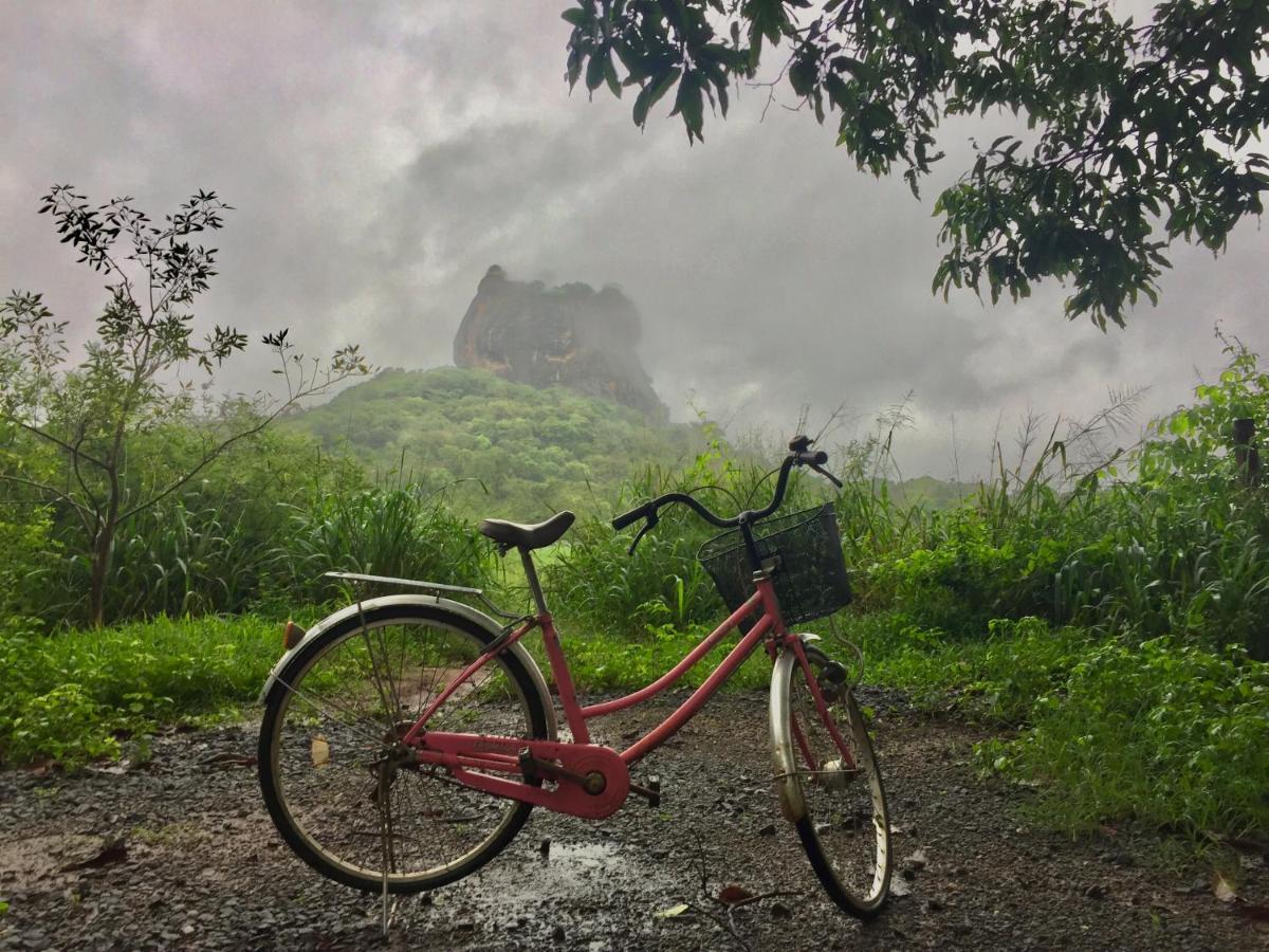 Sigiri Shen Residence Sigiriya Buitenkant foto