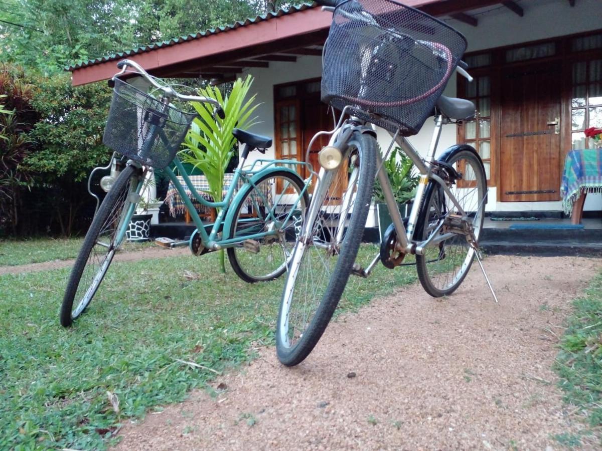 Sigiri Shen Residence Sigiriya Buitenkant foto