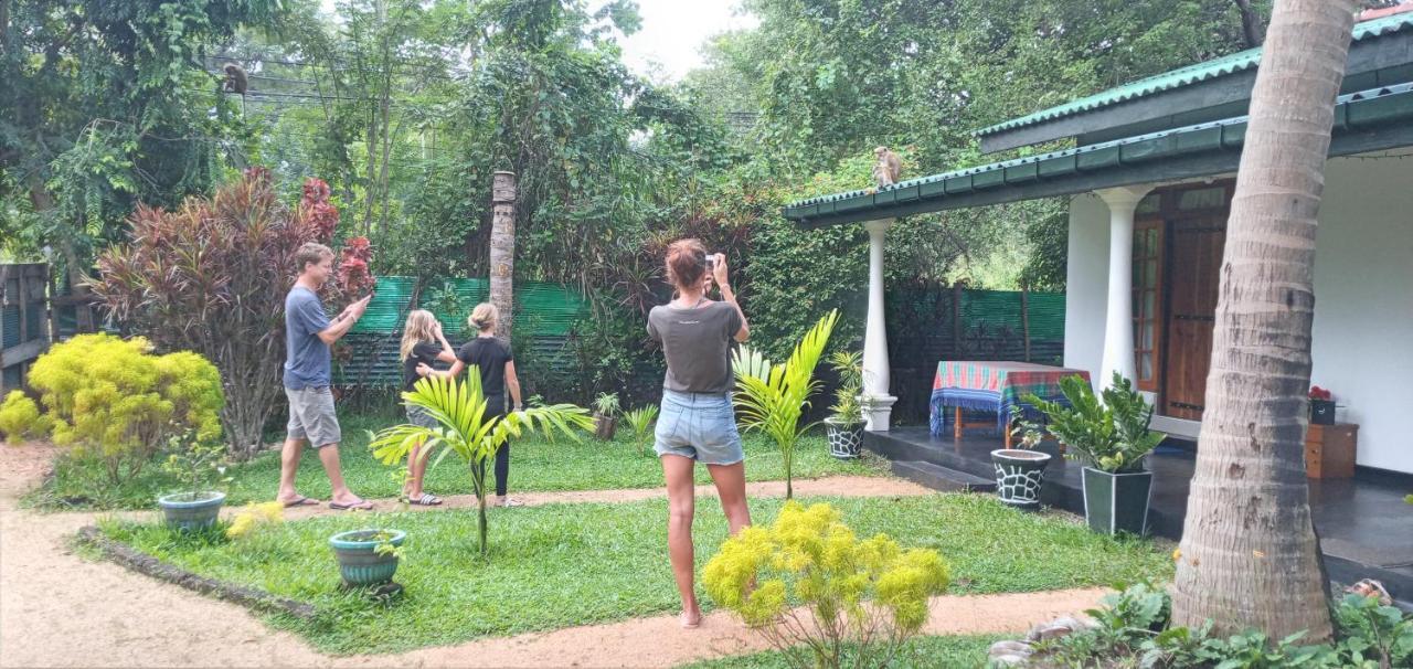 Sigiri Shen Residence Sigiriya Buitenkant foto