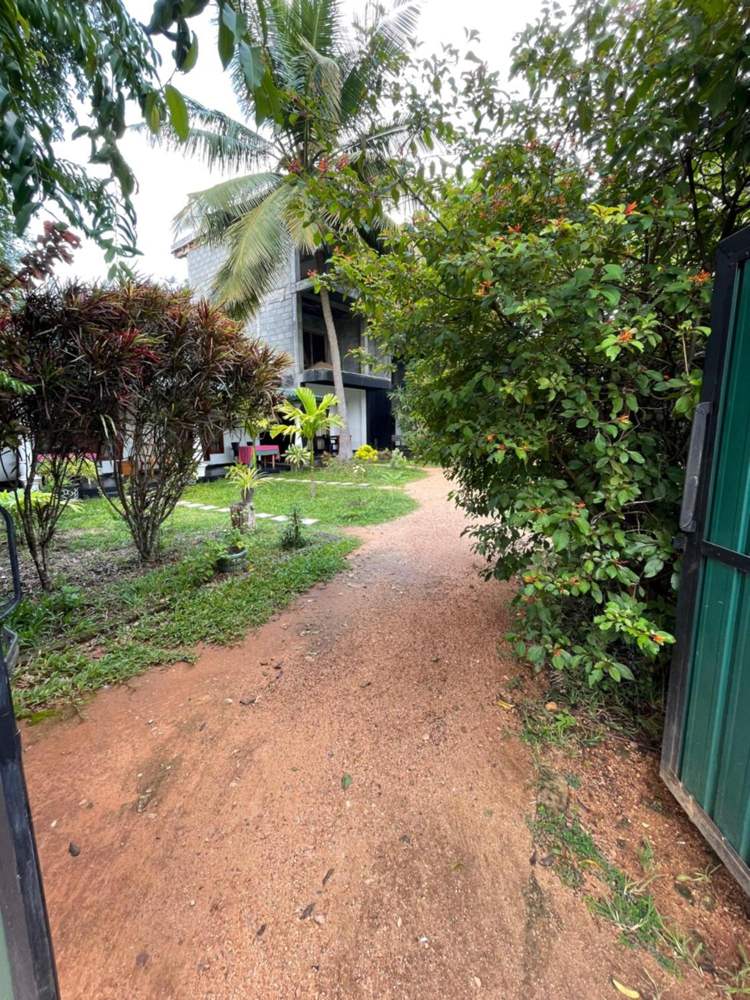 Sigiri Shen Residence Sigiriya Buitenkant foto