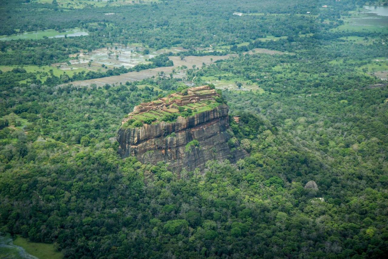 Sigiri Shen Residence Sigiriya Buitenkant foto