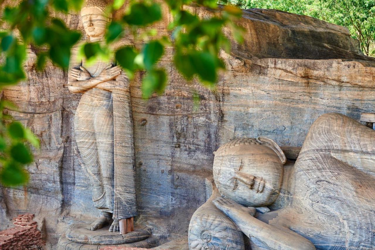Sigiri Shen Residence Sigiriya Buitenkant foto