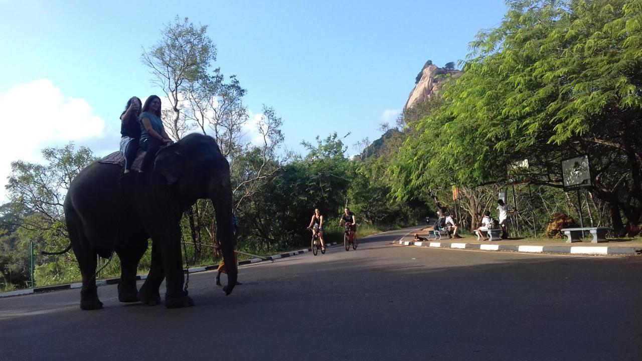Sigiri Shen Residence Sigiriya Buitenkant foto